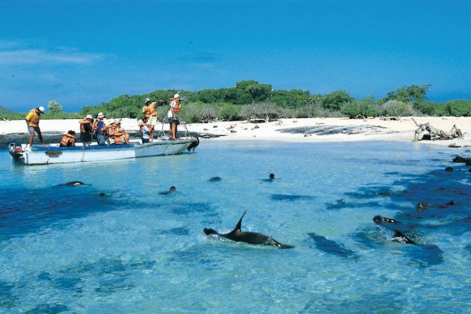 Fin de Año en Galápagos