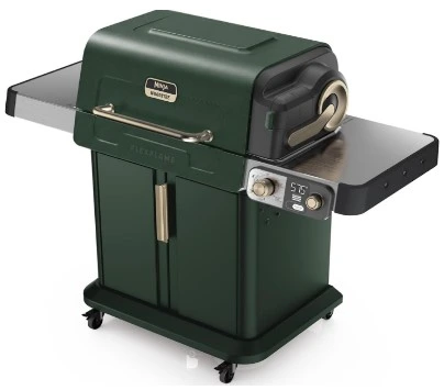 Ninja Parrilla Profesional de Exterior a Gas, Verde