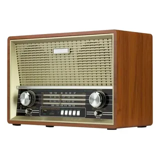 Radio AM/FM, BT, Usb, SD, Recargable, Ebasix